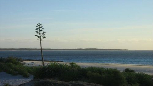 Playa del suroeste de Madagascar: Servicios de Viajes a Madagascar Playa del suroeste de Madagascar: Servicios de Viajes a Madagascar
