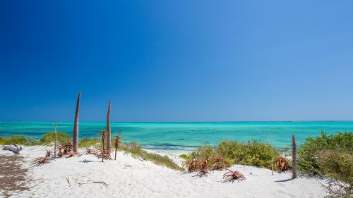 El extremo sur y la Costa Vezo: Servicios de Viajes a Madagascar El extremo sur y la Costa Vezo: Servicios de Viajes a Madagascar