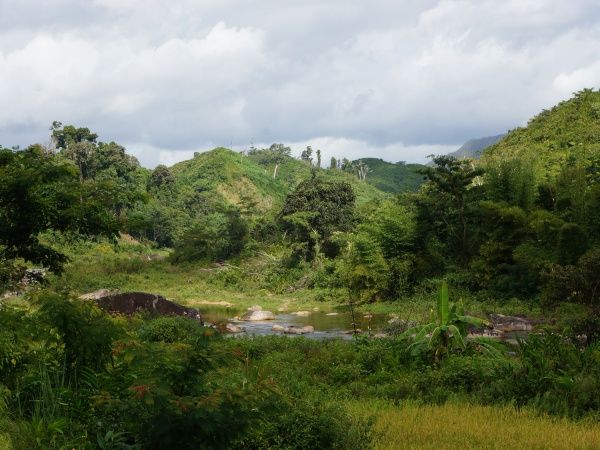 El noroeste, de Masoala a Marojejy: Servicios de Viajes a Madagascar El noroeste, de Masoala a Marojejy: Servicios de Viajes a Madagascar