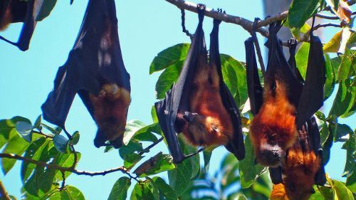 El extremo sur y la Costa Vezo: Servicios de Viajes a Madagascar El extremo sur y la Costa Vezo: Servicios de Viajes a Madagascar