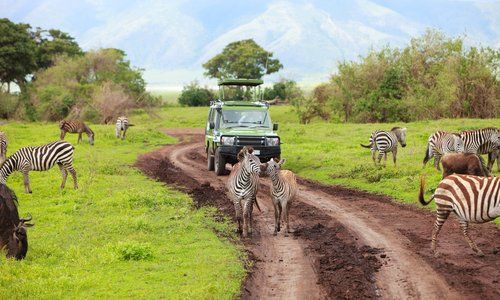 Safari en el Sur de Kenia y Costa del Índico: Destinos de Lucy Class Travel Tour Safari en el Sur de Kenia y Costa del Índico: Destinos de Lucy Class Travel Tour