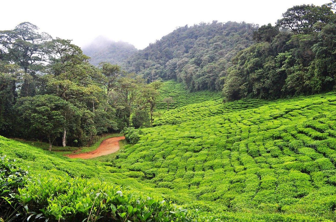 Colombia: Destinos de Lucy Class Travel Tour Colombia: Destinos de Lucy Class Travel Tour