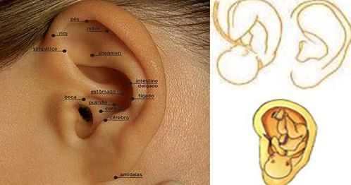 Auriculoterapia: Terapias de Wellnes Avenida Auriculoterapia: Terapias de Wellnes Avenida