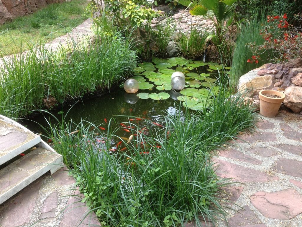 Diseño de jardines: Servicios de Ruepra Diseño de jardines: Servicios de Ruepra