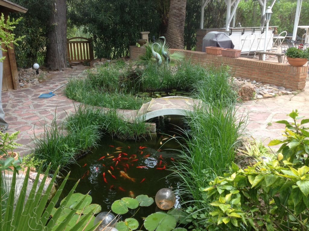 Diseño de jardines: Servicios de Ruepra Diseño de jardines: Servicios de Ruepra