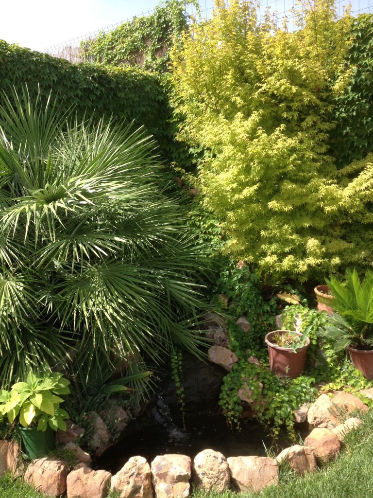 Diseño de jardines: Servicios de Ruepra Diseño de jardines: Servicios de Ruepra