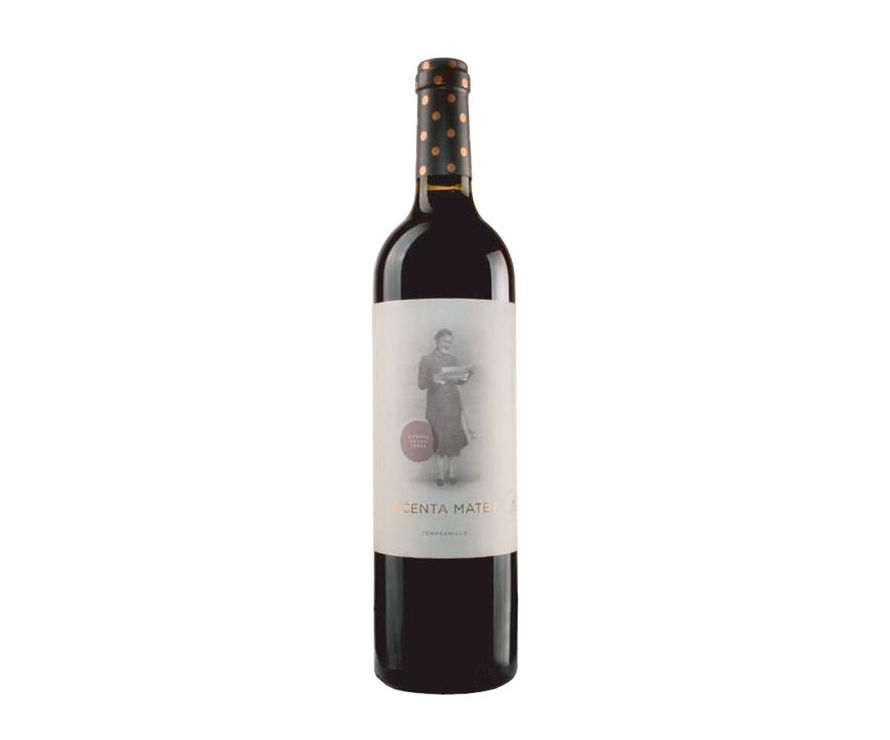 Tudanca Vicenta - Tinto: Catálogo de Mainake XXI Tudanca Vicenta - Tinto: Catálogo de Mainake XXI