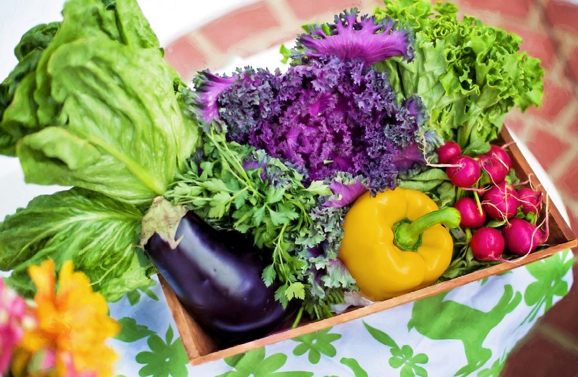 Nutrición: Servicios de Farmacia Évora Centro Nutrición: Servicios de Farmacia Évora Centro
