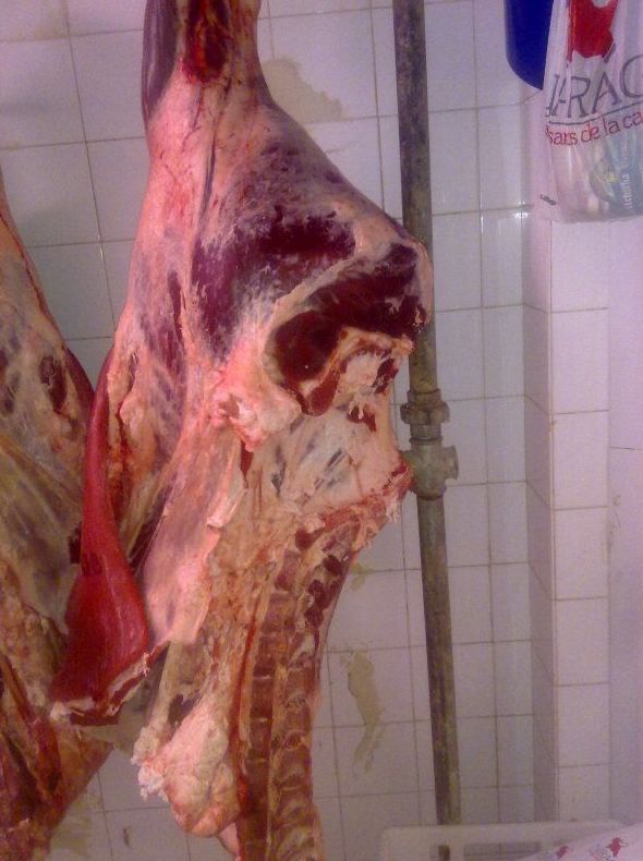 Lote hamburguesas (Burger meat): Productos de Carnicería Ramón Garbalena Lote hamburguesas (Burger meat): Productos de Carnicería Ramón Garbalena