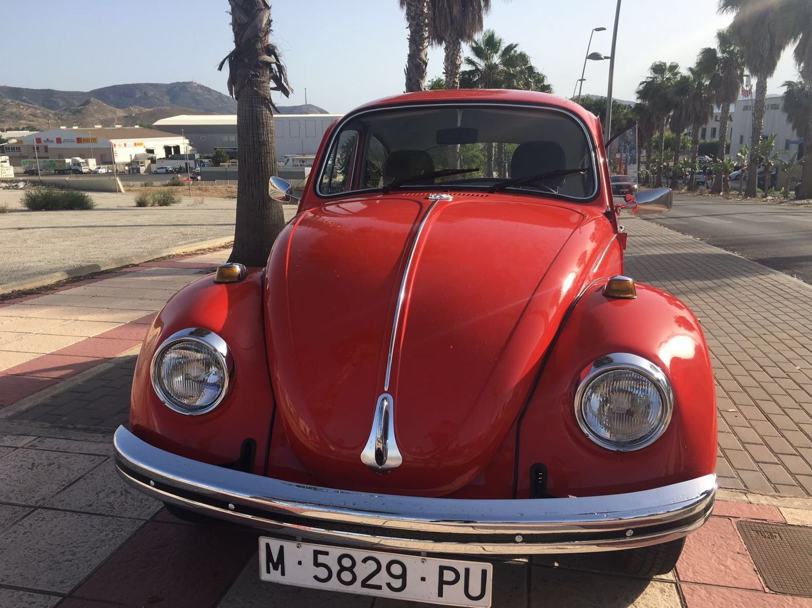 Volkskgagen Beetle: COCHES DE OCASION de Automóviles Parque Mediterráneo Volkskgagen Beetle: COCHES DE OCASION de Automóviles Parque Mediterráneo