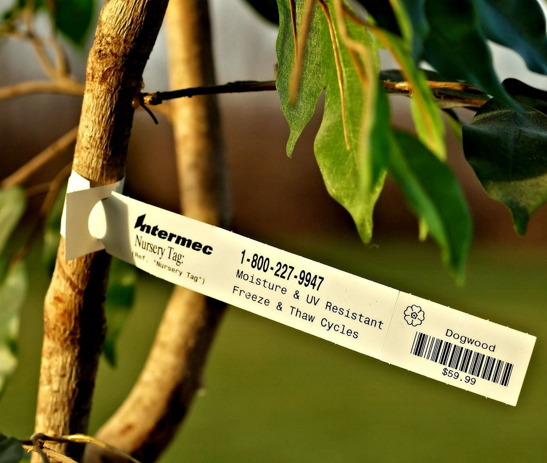 Etiquetado de Plantas y Hortofrutícola Etiquetado de Plantas y Hortofrutícola
