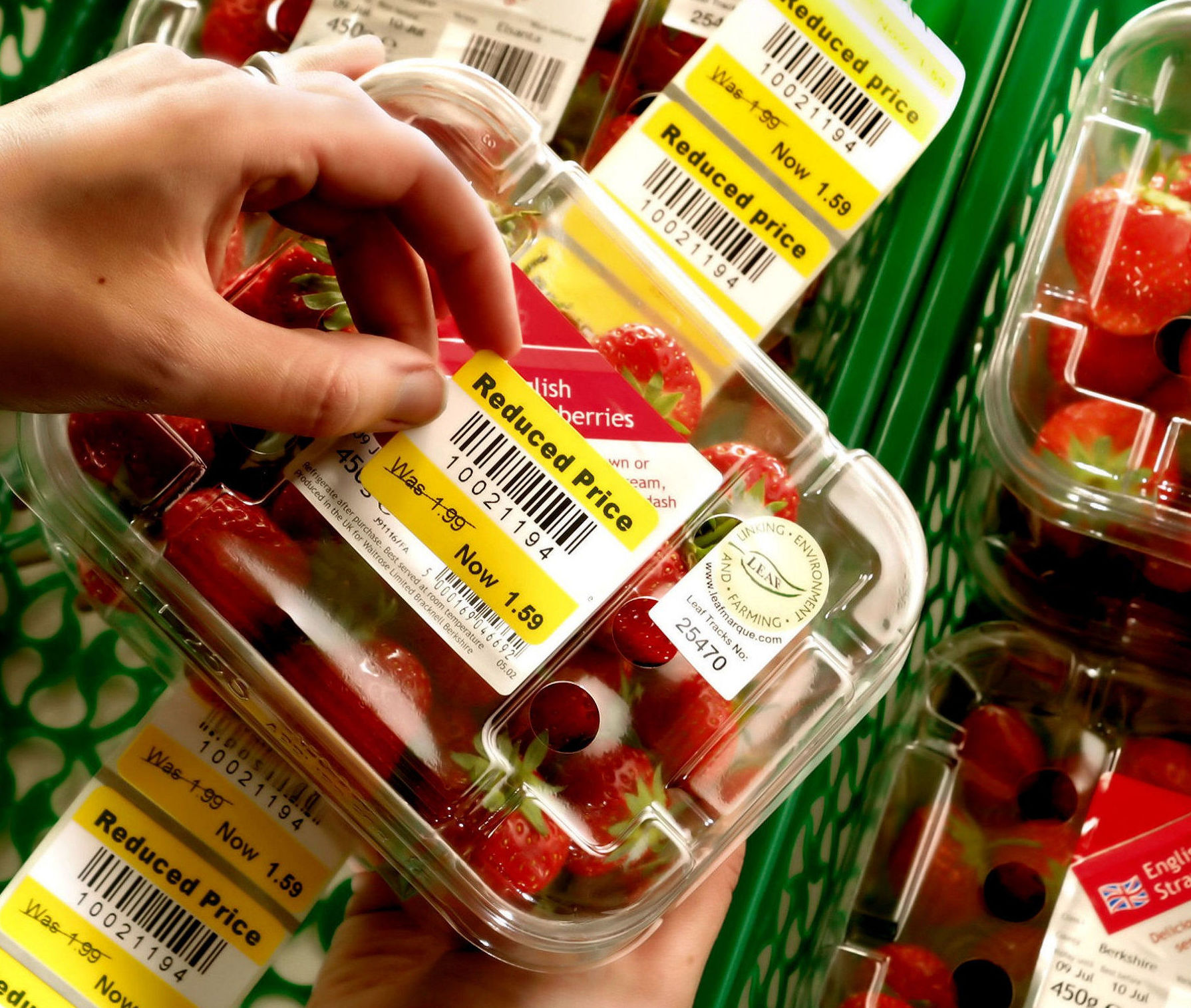 Etiquetado de Productos Alimenticios Etiquetado de Productos Alimenticios