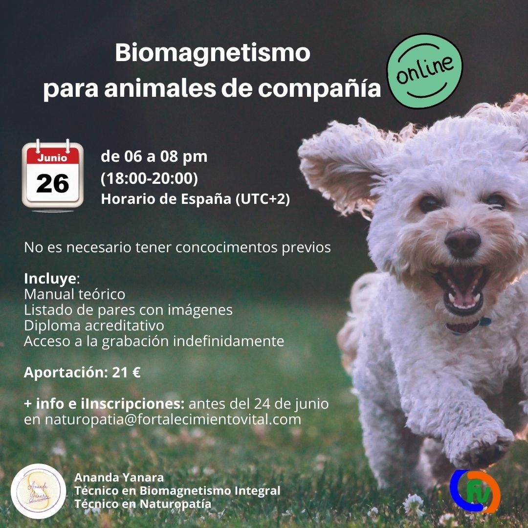 Biomagnetismo para animales de compañia.jpg