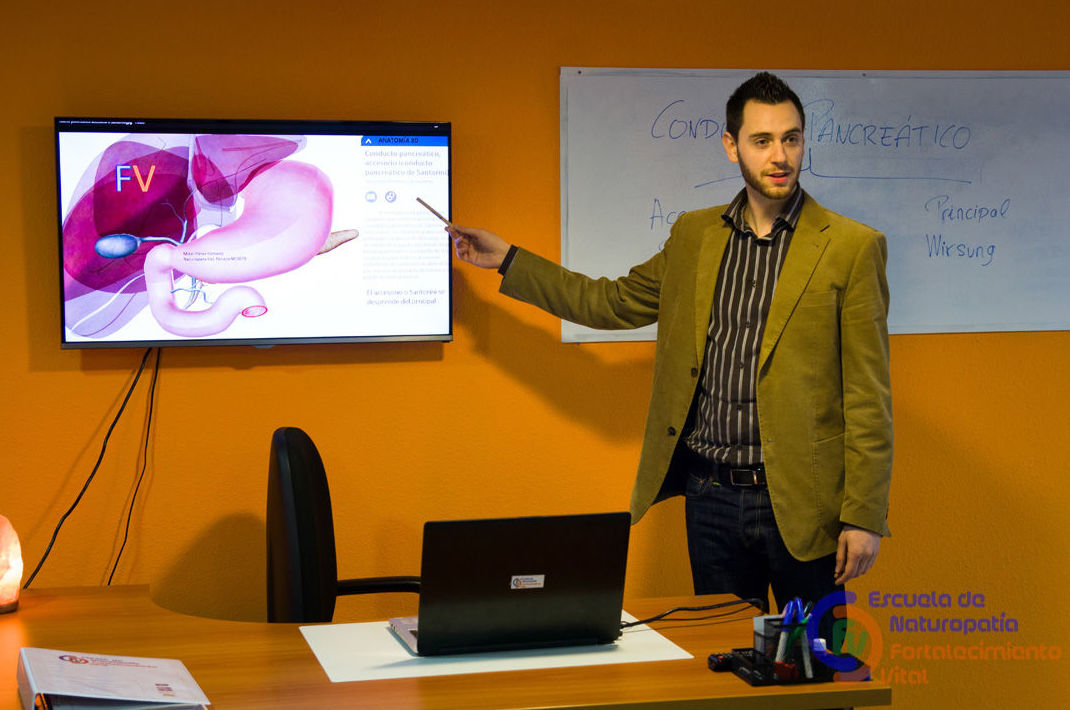 Formación: se puede apreciar nuestro programa de anatomía en 3 D Formación: se puede apreciar nuestro programa de anatomía en 3 D