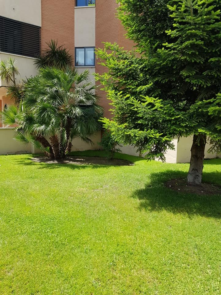 Jardinería: Servicios integrales de DSC Servicios Jardinería: Servicios integrales de DSC Servicios