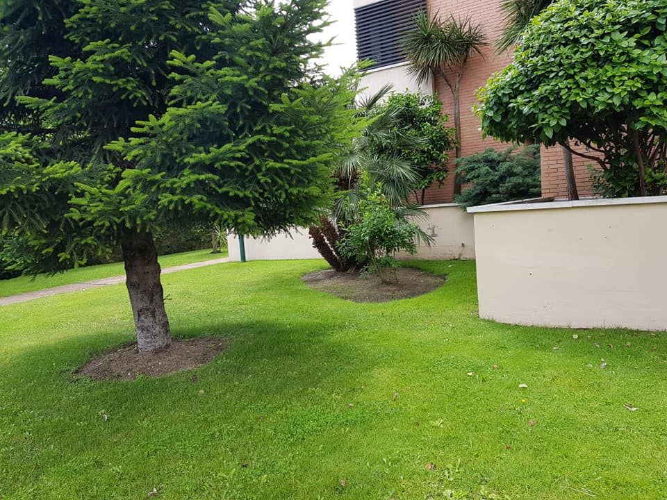 Jardinería: Servicios integrales de DSC Servicios Jardinería: Servicios integrales de DSC Servicios