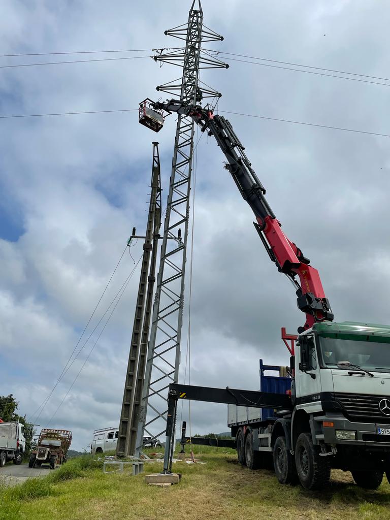Poda en altura: Servicios de Grúas y Transportes Erauskin Poda en altura: Servicios de Grúas y Transportes Erauskin