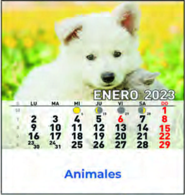 Cd ref 33 - Animales: Nuestros Productos de Gráficas Kalendex Cd ref 33 - Animales: Nuestros Productos de Gráficas Kalendex