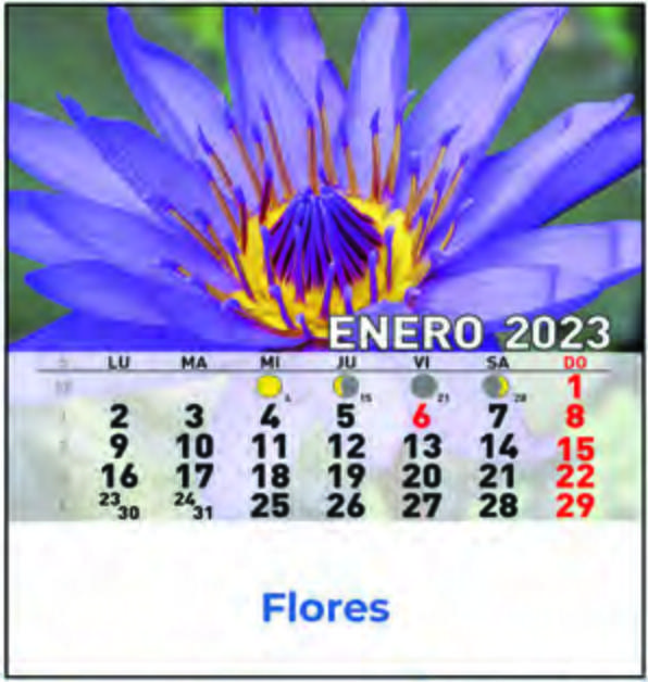 Cd ref 38 - Flores: Nuestros Productos de Gráficas Kalendex Cd ref 38 - Flores: Nuestros Productos de Gráficas Kalendex
