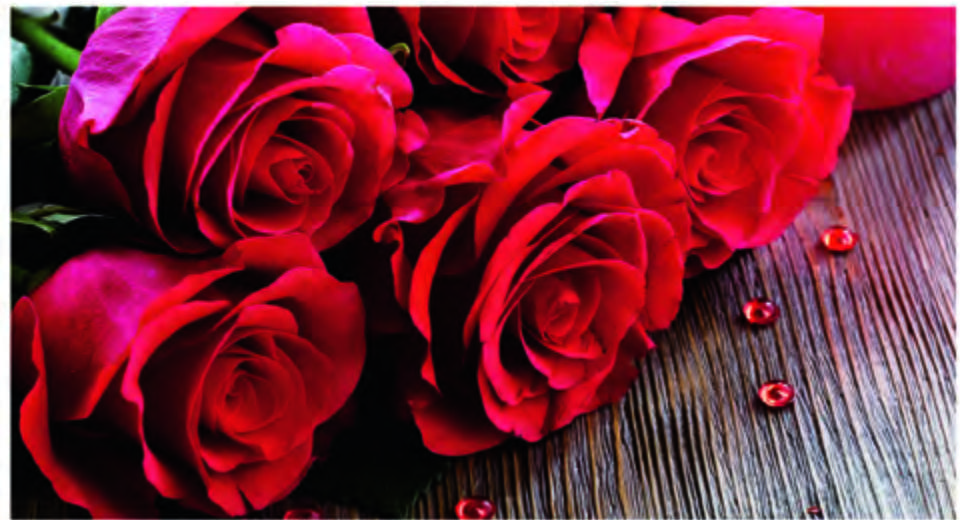 Referencia 98 - Flores: Nuestros Productos de Gráficas Kalendex Referencia 98 - Flores: Nuestros Productos de Gráficas Kalendex