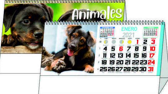 Ref. 56 - Animales: Nuestros Productos de Gráficas Kalendex Ref. 56 - Animales: Nuestros Productos de Gráficas Kalendex