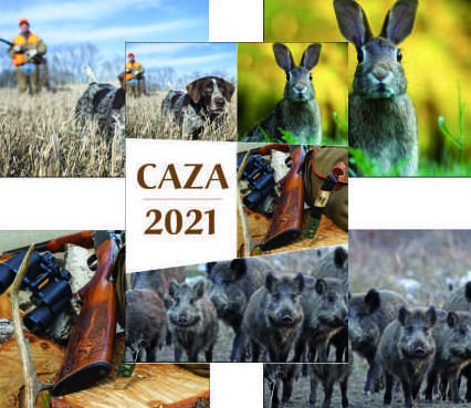 Ref. 237 - Caza: Nuestros Productos de Gráficas Kalendex Ref. 237 - Caza: Nuestros Productos de Gráficas Kalendex