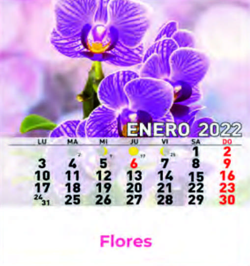 Cd ref 38 - Flores: Nuestros Productos de Gráficas Kalendex Cd ref 38 - Flores: Nuestros Productos de Gráficas Kalendex