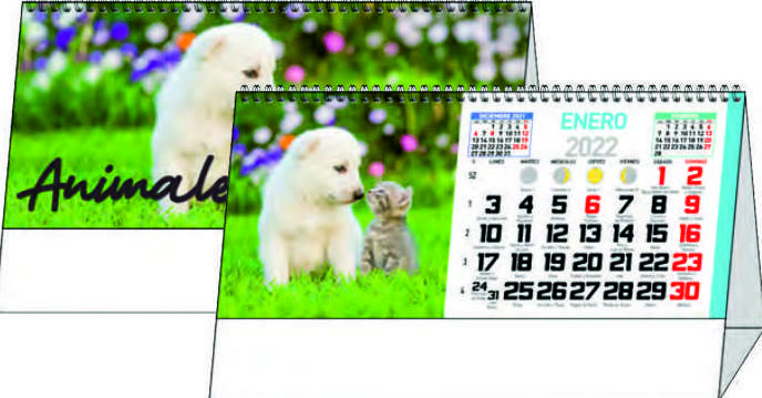 Ref. 56 - Animales: Nuestros Productos de Gráficas Kalendex Ref. 56 - Animales: Nuestros Productos de Gráficas Kalendex