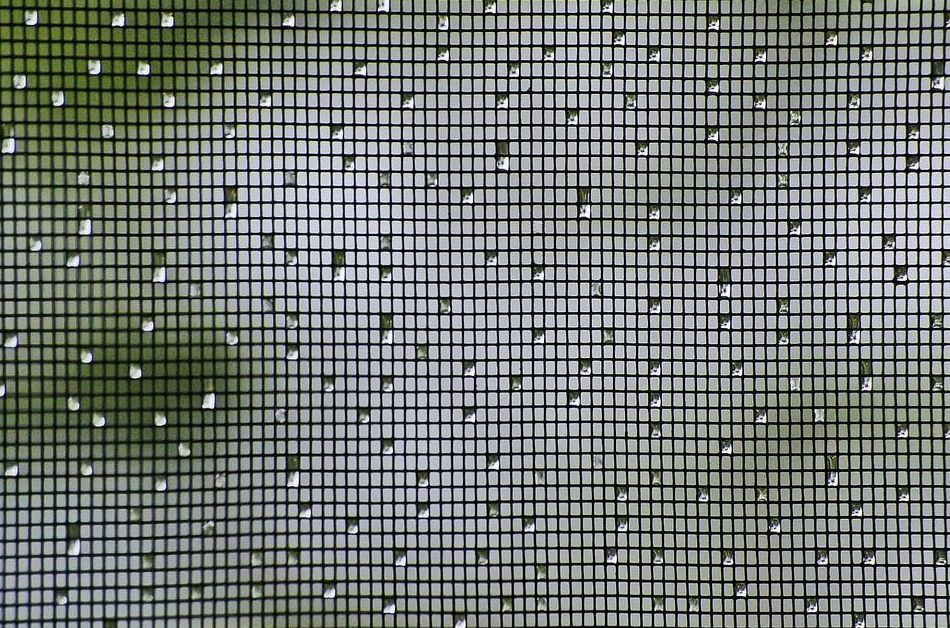 Mosquiteras enrollables: Productos y Servicios de Cortinajes Águila Mosquiteras enrollables: Productos y Servicios de Cortinajes Águila