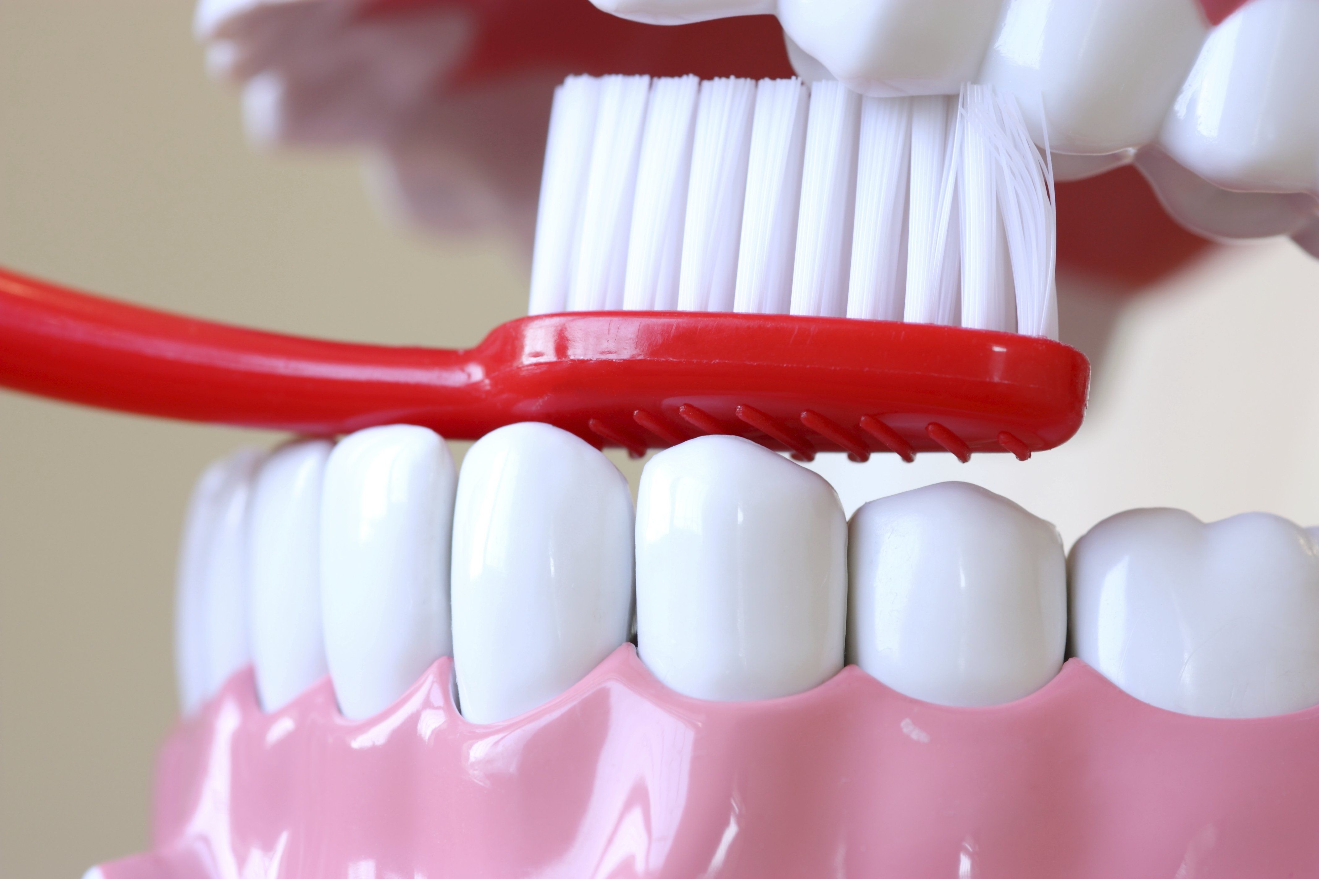 Limpieza dental: Servicios de Clínica Dental Mataró Limpieza dental: Servicios de Clínica Dental Mataró