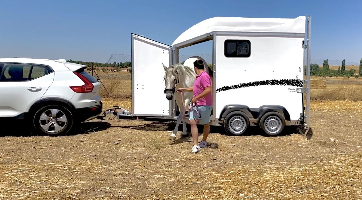 Remolque van para caballos B4-Aluminium 2021 Remolque van para caballos B4-Aluminium 2021
