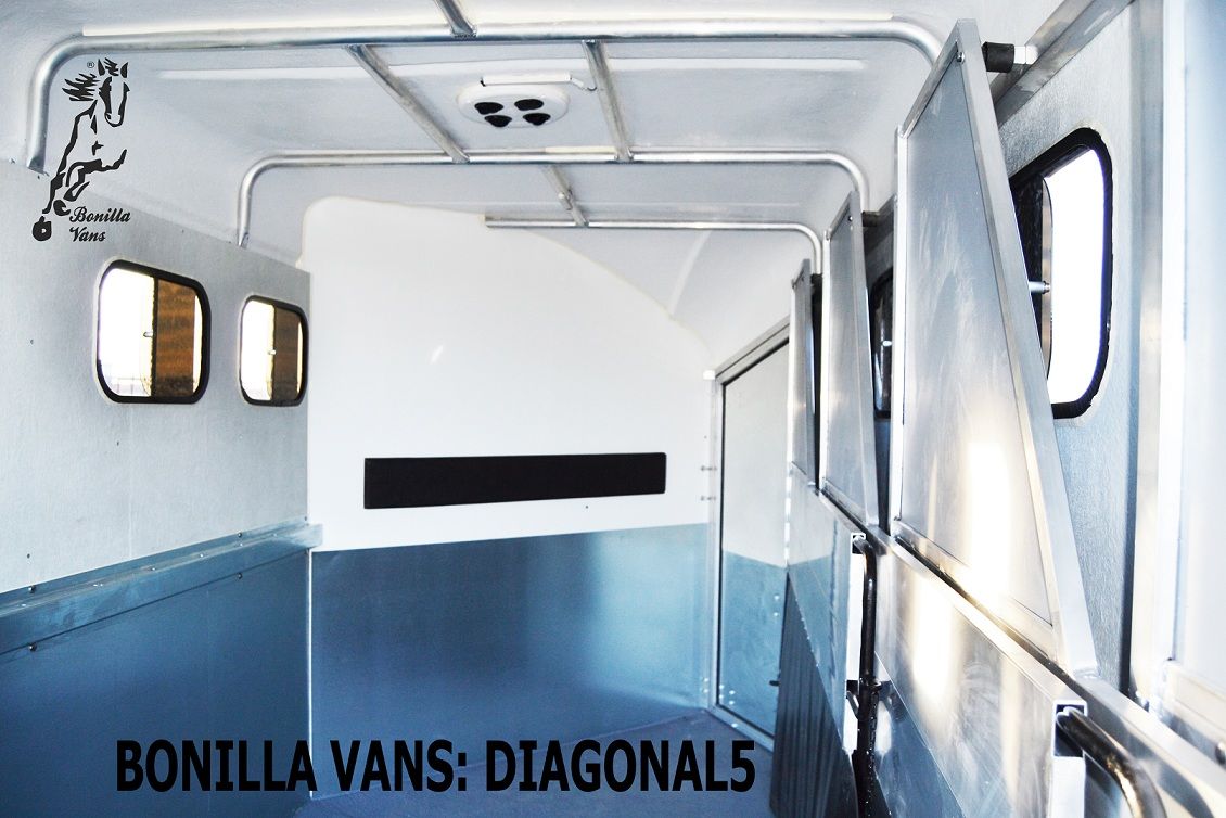 DIAGONAL 5: Modelos de Bonilla Vans DIAGONAL 5: Modelos de Bonilla Vans