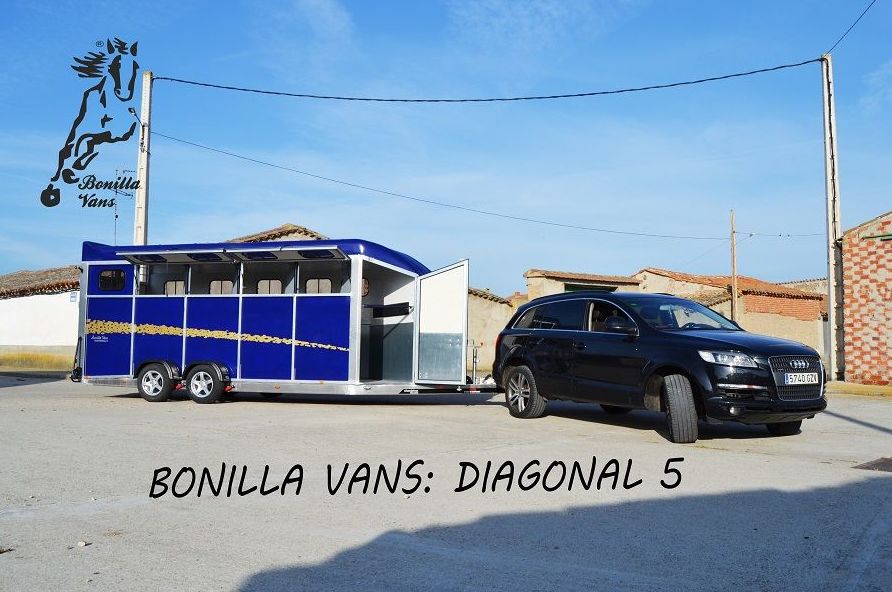 DIAGONAL 5: Modelos de Bonilla Vans DIAGONAL 5: Modelos de Bonilla Vans