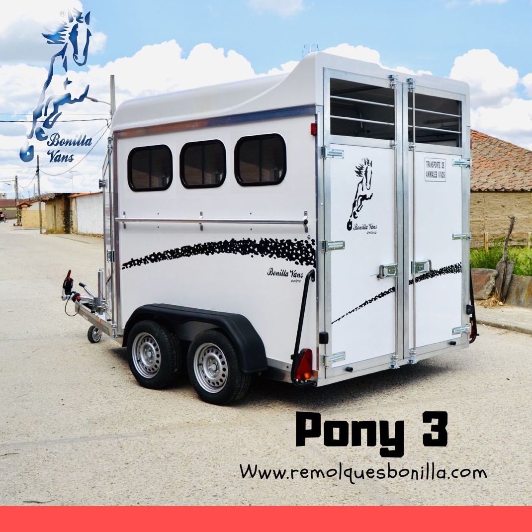 VAN PARA TRES PONIS VAN PARA TRES PONIS
