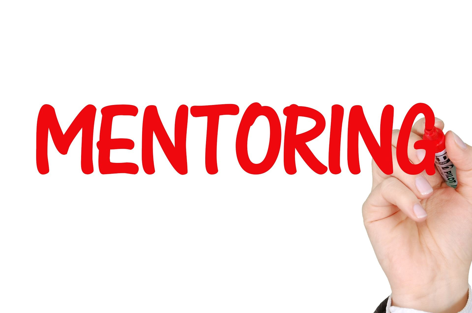 Mentoring: Servicios de coaching de Jorge Noriega Mentoring: Servicios de coaching de Jorge Noriega