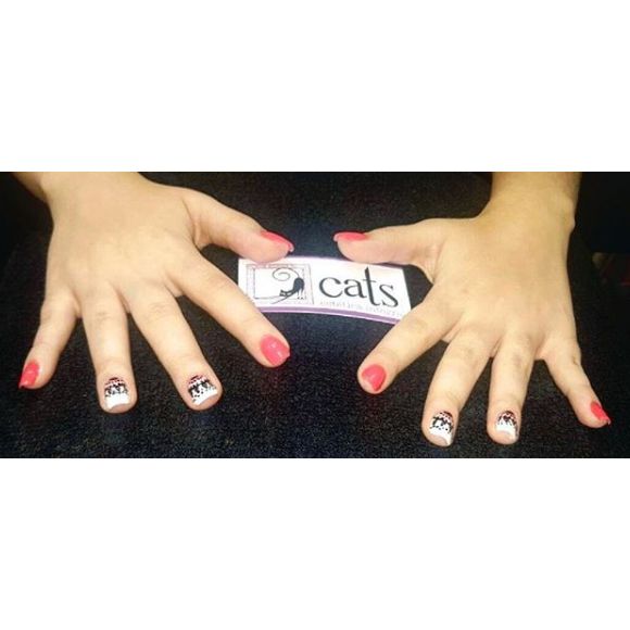 Estética: Servicios de Peluquería y Estética Cats Estética: Servicios de Peluquería y Estética Cats