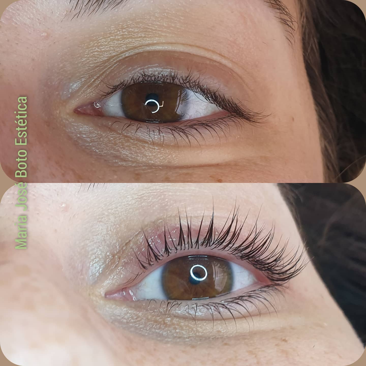 Lifting y tinte de pestañas: Servicios de María José Boto Estética Lifting y tinte de pestañas: Servicios de María José Boto Estética