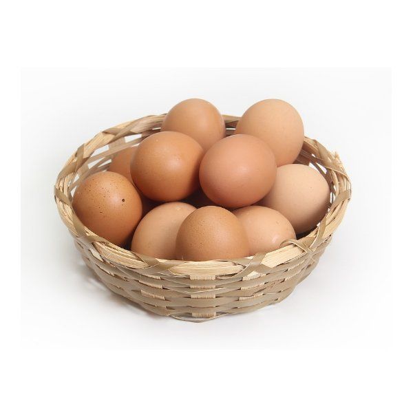 Nuestro producto: Productos y servicios de Avícola San Blas, S.L. Nuestro producto: Productos y servicios de Avícola San Blas, S.L.