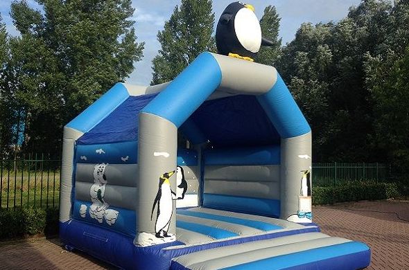 pinguino pinguino