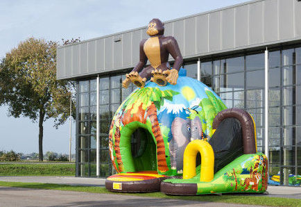 discofun jungla discofun jungla