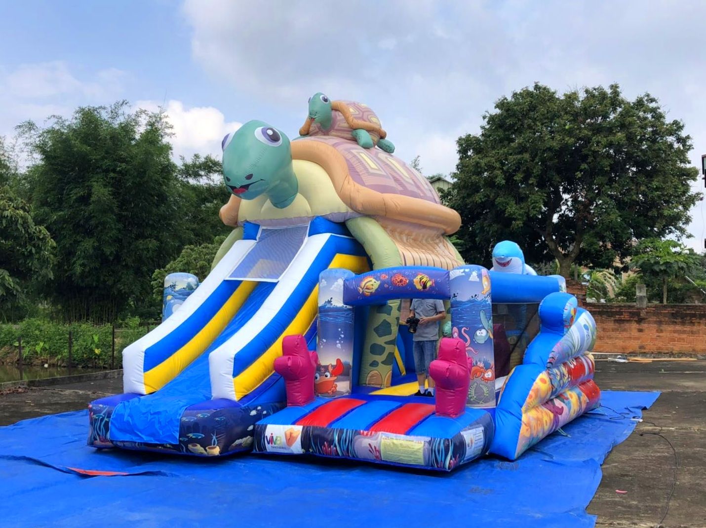Funcity Tortuga Funcity Tortuga