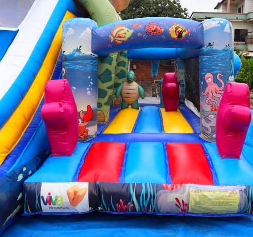 Funcity Tortuga Funcity Tortuga