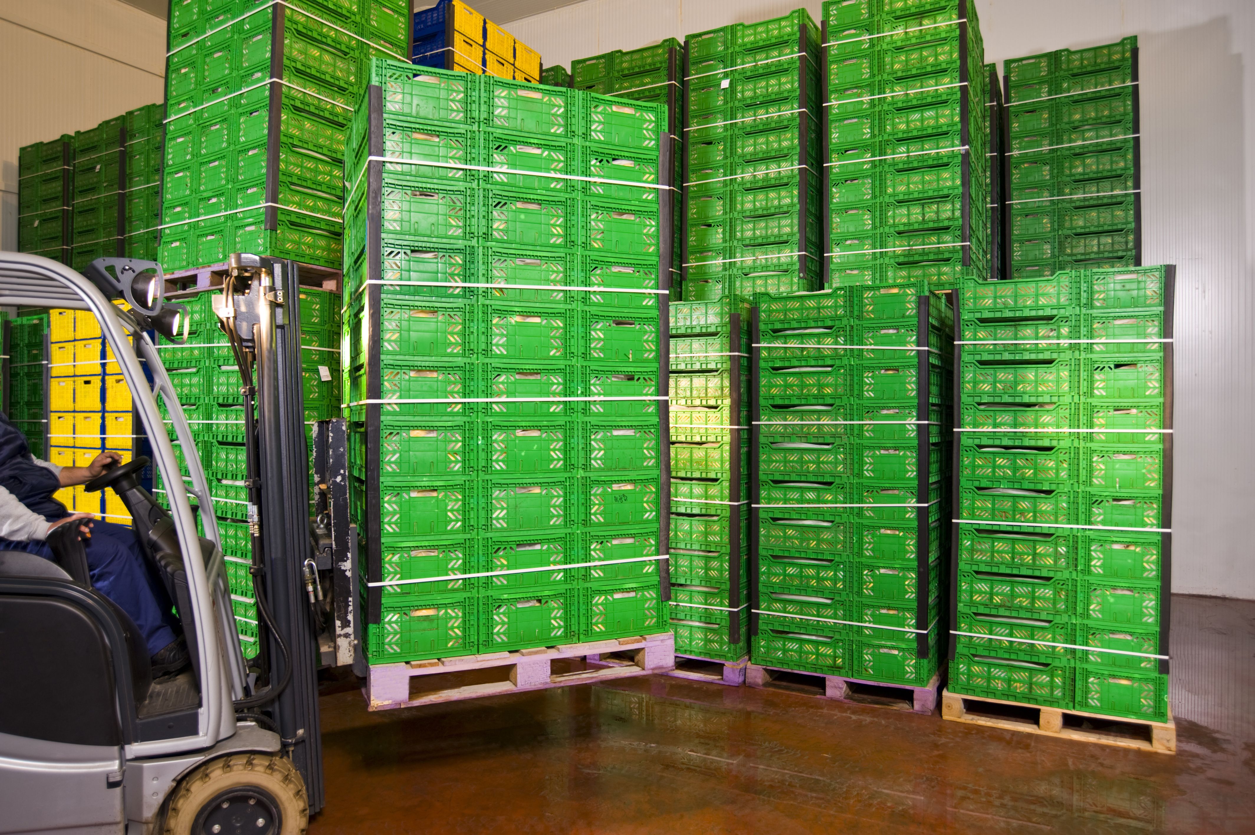 Venta a empresas: Catálogo de Frutas Rosán Venta a empresas: Catálogo de Frutas Rosán
