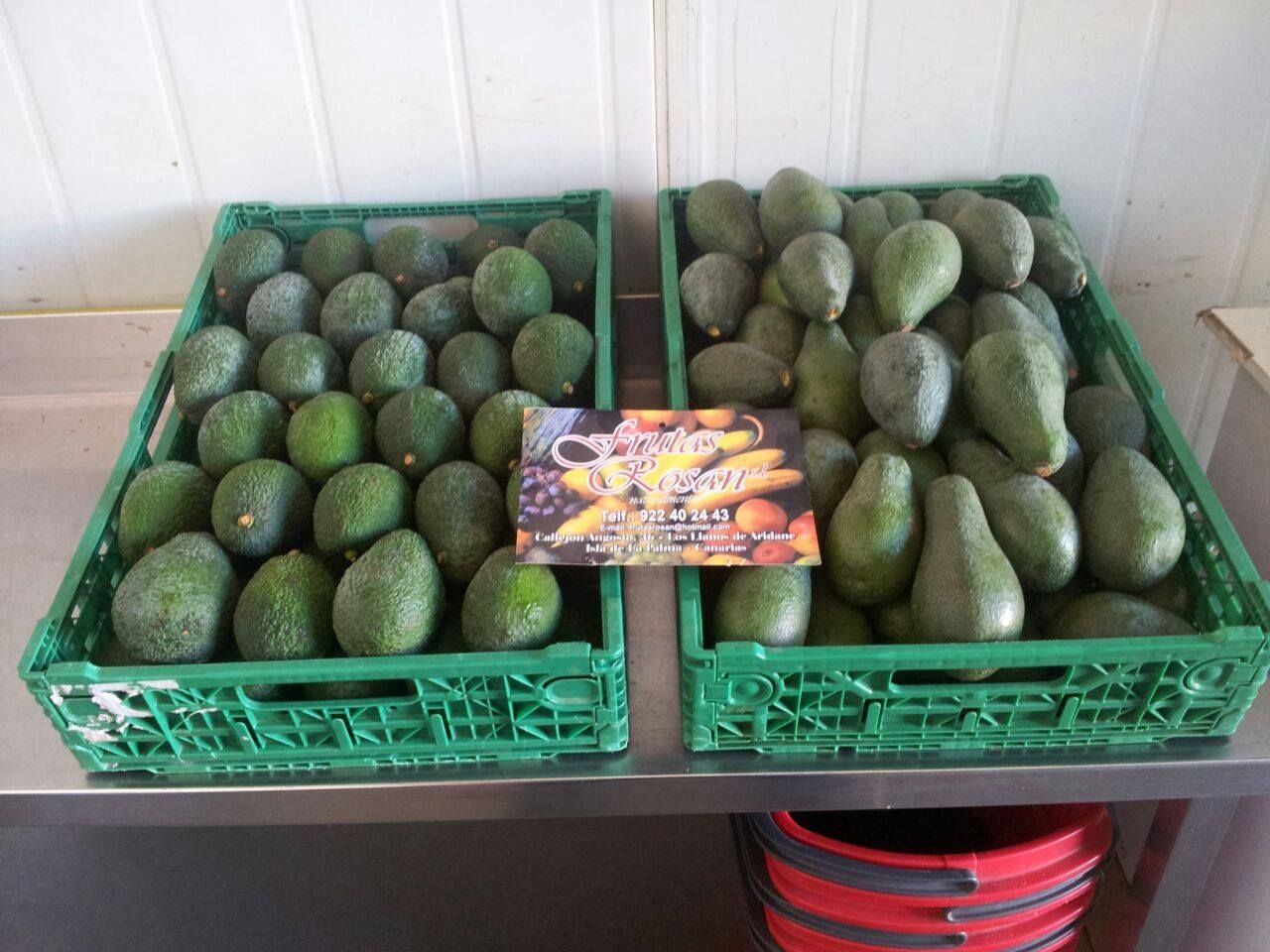 Nuestro producto estrella: el aguacate: Catálogo de Frutas Rosán Nuestro producto estrella: el aguacate: Catálogo de Frutas Rosán