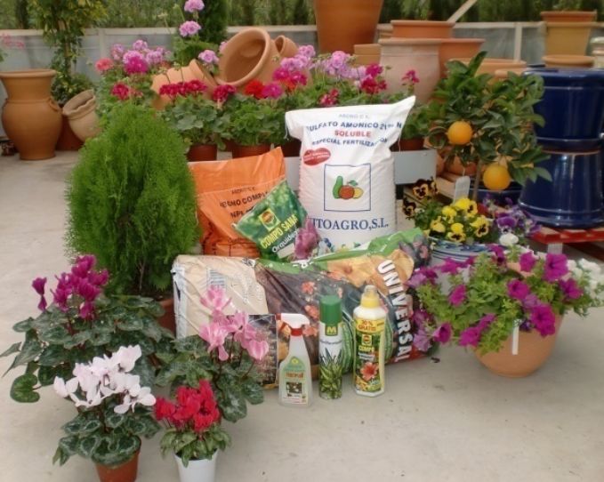 Nuestro vivero: Viveros de jardinería de Esspora Nuestro vivero: Viveros de jardinería de Esspora