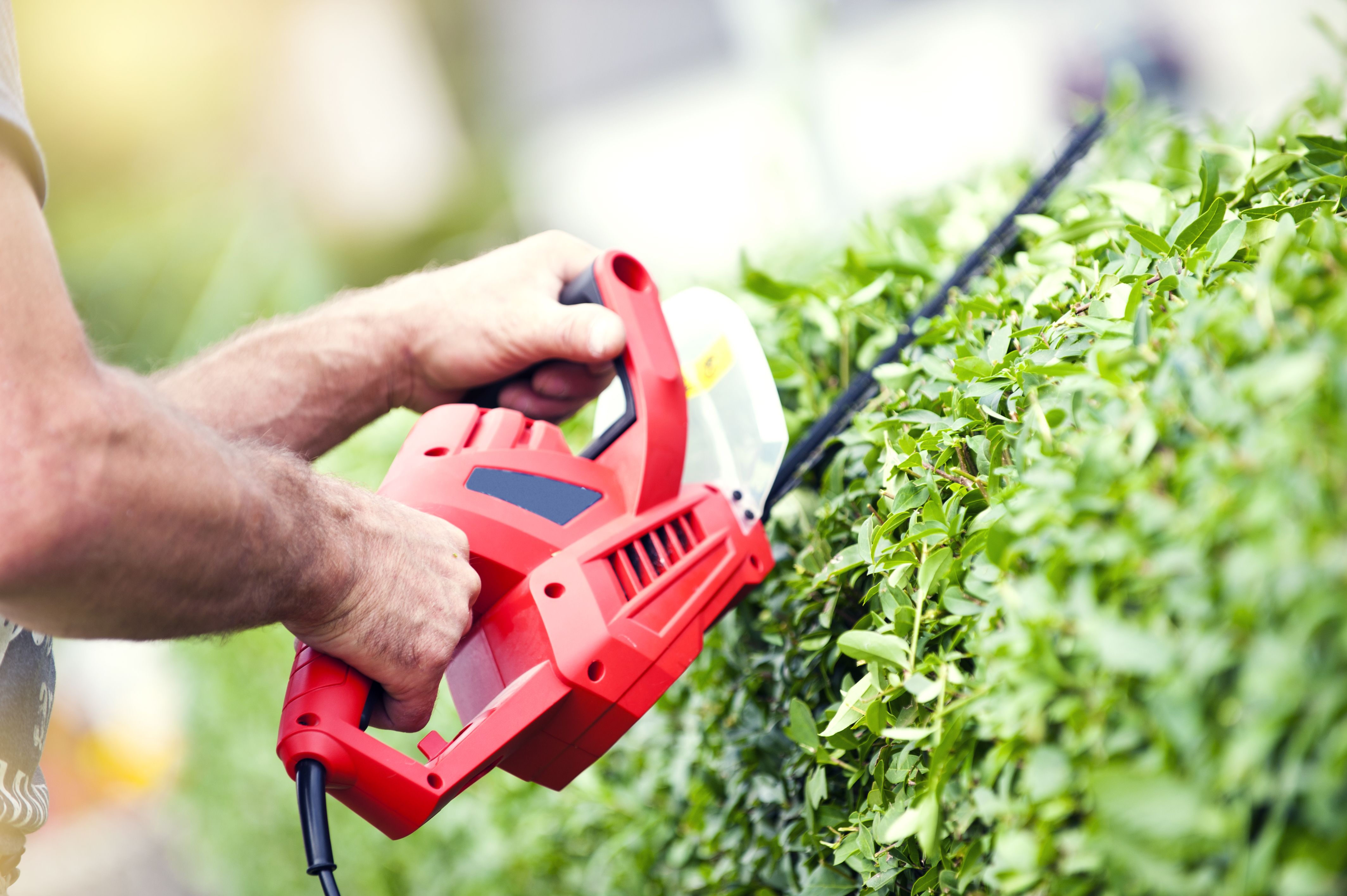 Otros productos: Viveros de jardinería de Esspora Otros productos: Viveros de jardinería de Esspora