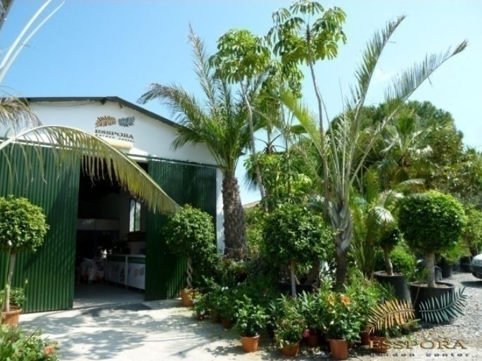 Fitosanitarios: Viveros de jardinería de Esspora Fitosanitarios: Viveros de jardinería de Esspora