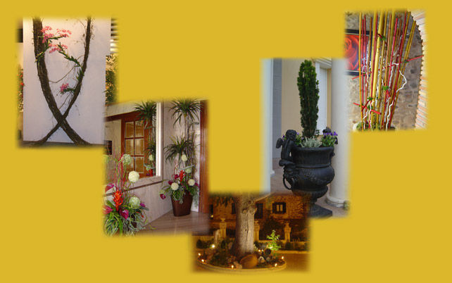 Interiores y exteriores : Catálogo de Floristería Mª Teresa Interiores y exteriores : Catálogo de Floristería Mª Teresa