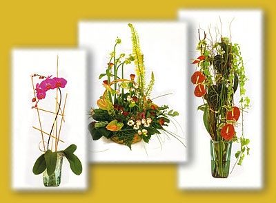 Flor y planta natural: Catálogo de Floristería Mª Teresa Flor y planta natural: Catálogo de Floristería Mª Teresa