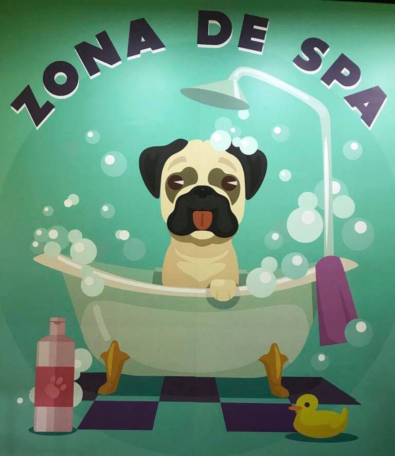 Peluquería Canina y Felina: Servicios de Mascotas Dreams Peluquería Canina y Felina: Servicios de Mascotas Dreams